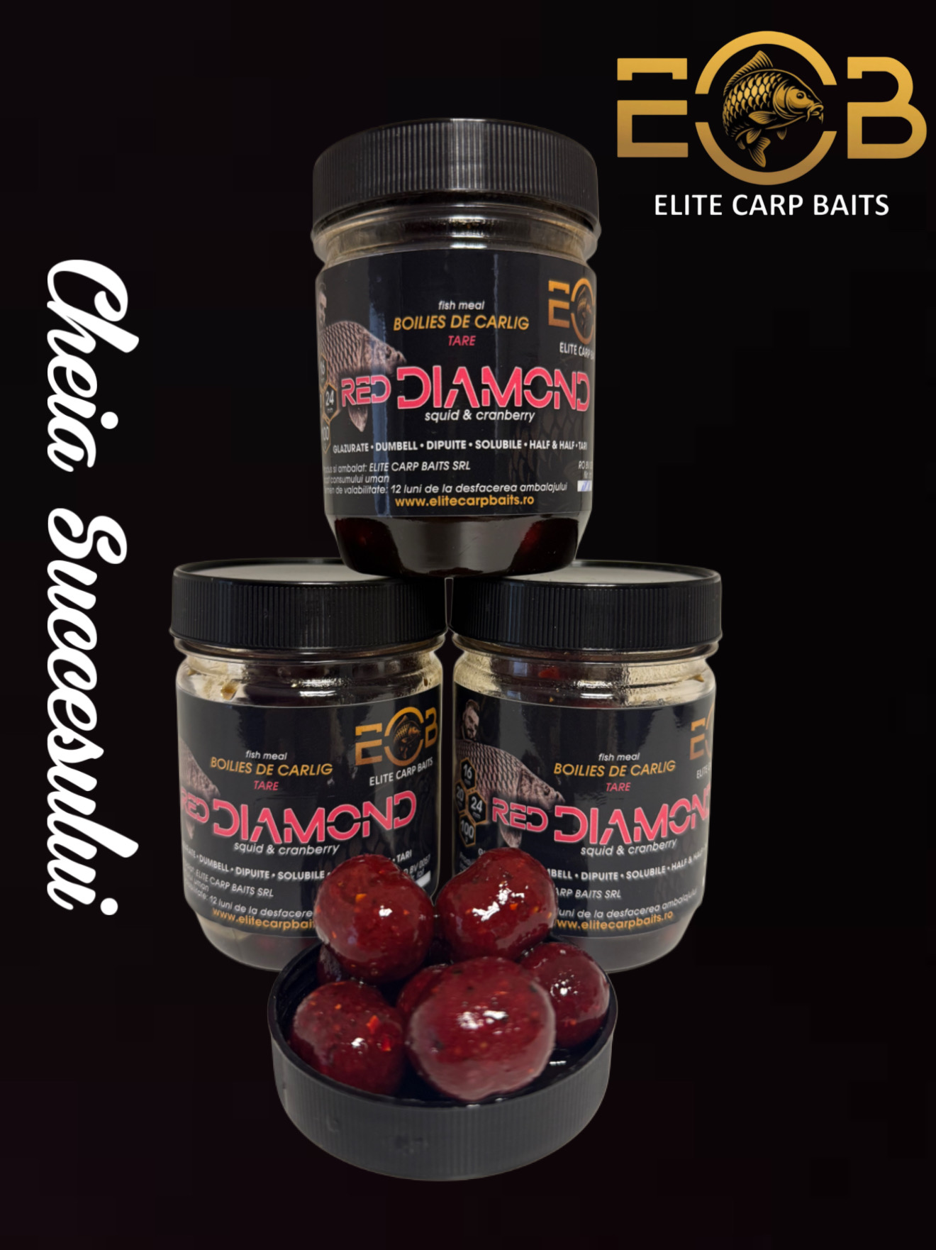 RED DIAMOND Dumbell Dipuit 24mm